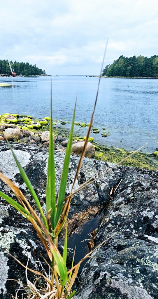 Eidisvikenissä matala vesi.
