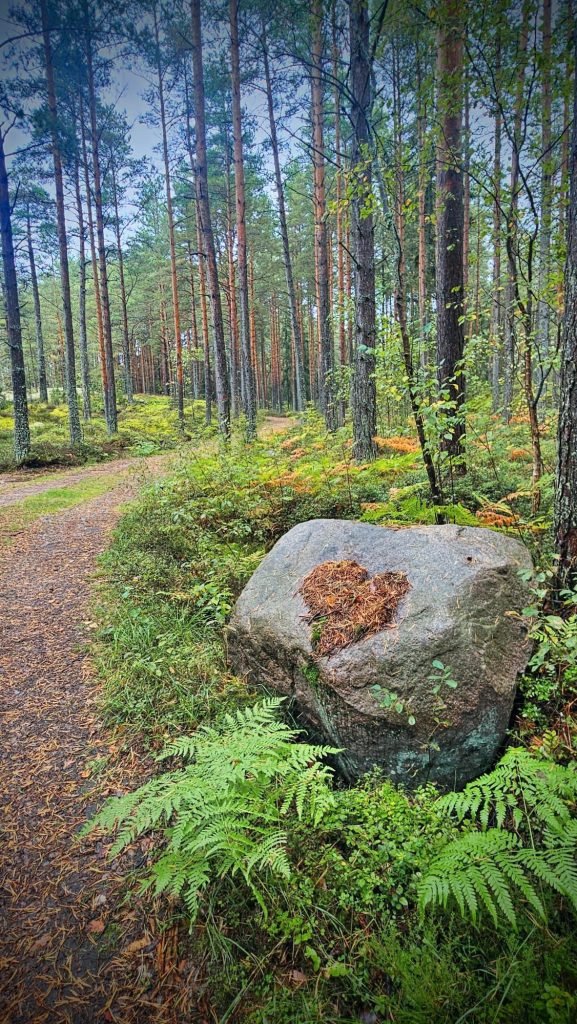 Vävars metsätie, sydän kivellä.